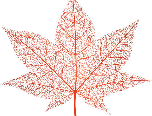 Autumn Leaves Clipart Clear Background - Transparent Background Clip Art Autumn Leaf Png (640x480), Png Download