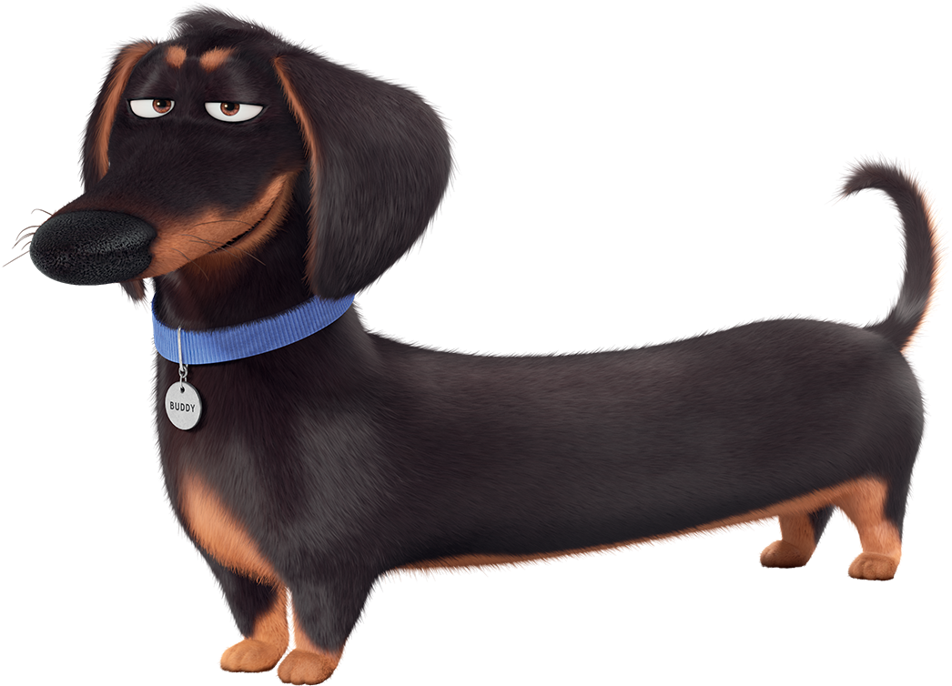 Clip Royalty Free C Pinterest Secret Life - Secret Life Of Pets Ivan (1137x832), Png Download