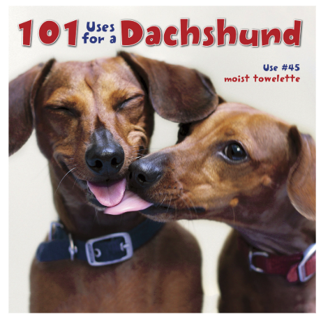 “101 Uses For A Dachshund” Picture Book - 101 Uses For A Dachshund By Willow Creek Press 9781623430313 (689x583), Png Download