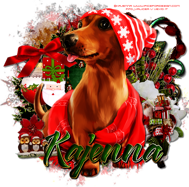 Snow Dachshund - Dog (650x650), Png Download
