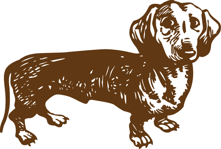 Dachshund-converted - Dachshund (749x504), Png Download