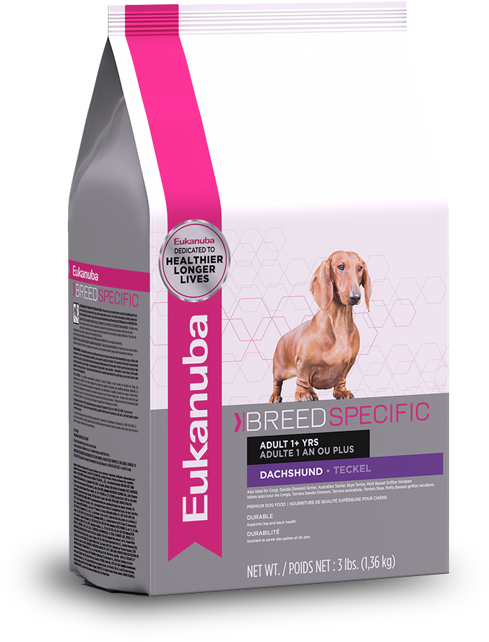 Eukanuba Dachshund Nutrition Dog Food - Eukanuba Dachshund Dog Food 10 Lb (946x1128), Png Download