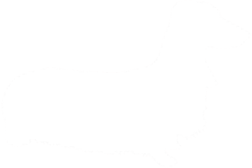 Our Boys - Companion Dog (500x337), Png Download