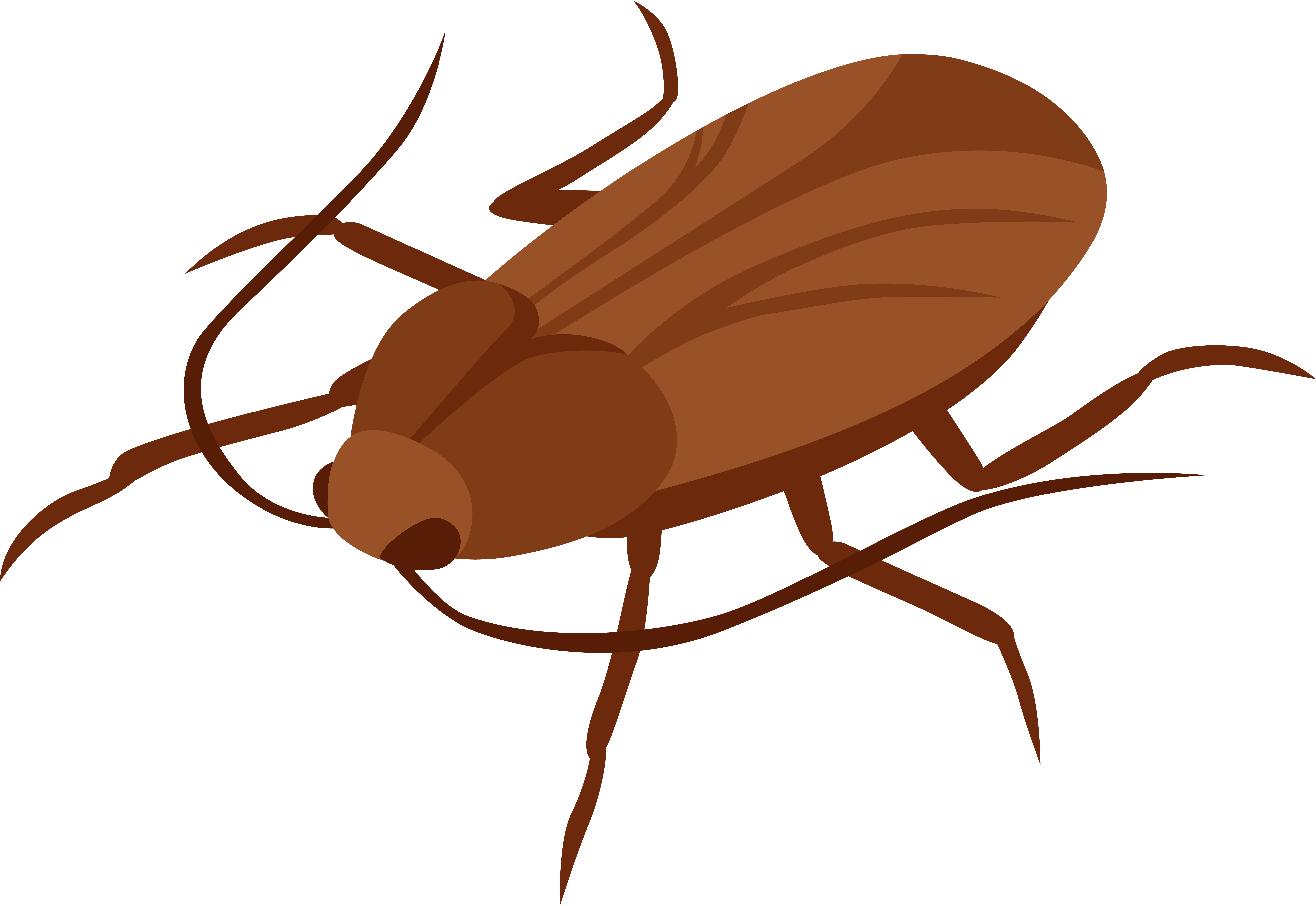 Cockroach Png Clip Art - Cockroach Transperant Backround (8000x5506), Png Download
