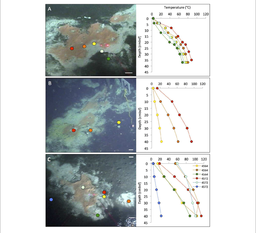 Typical " Fried Egg " Microbial Mats - Beggiatoa (850x774), Png Download