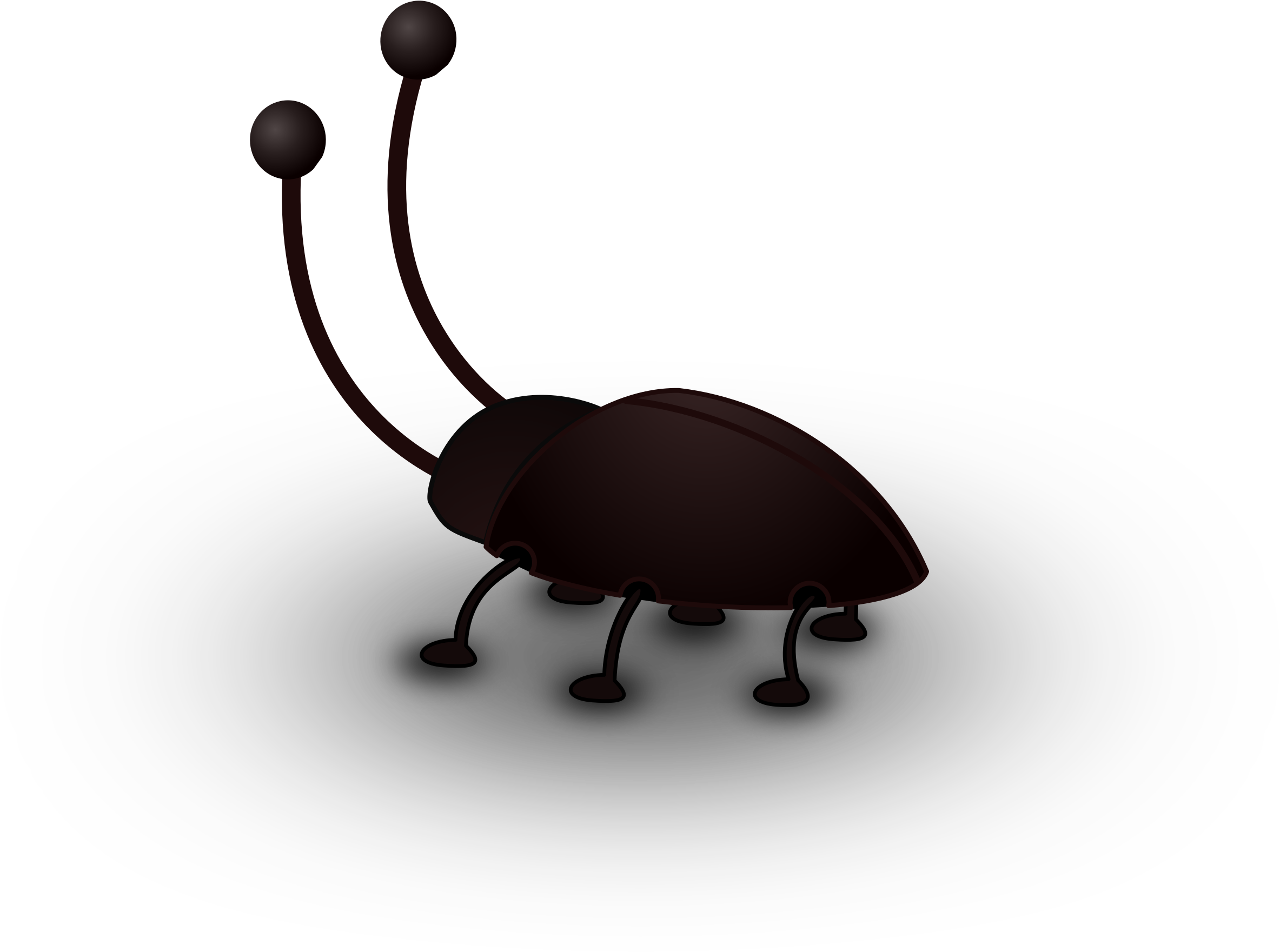 Cockroach Png (2400x1761), Png Download