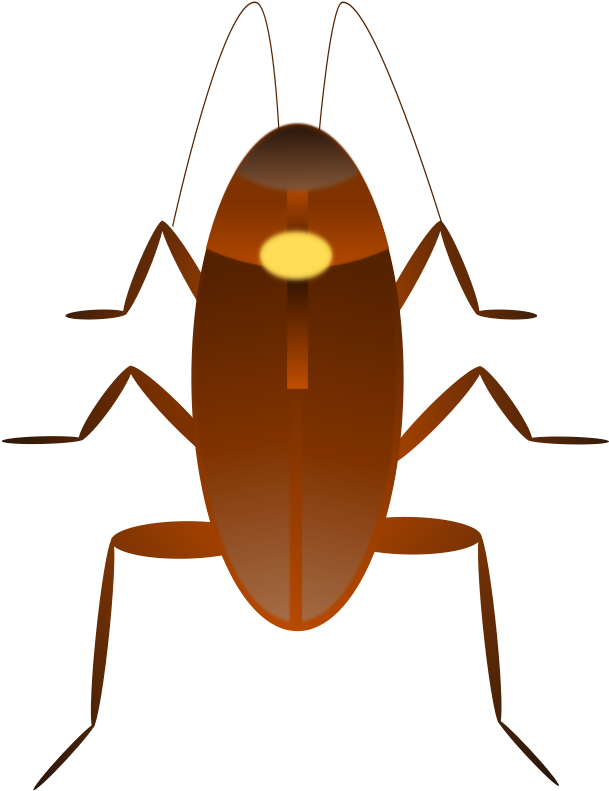 Kecoa Vector (621x800), Png Download