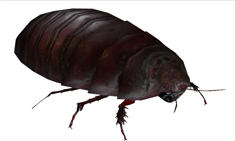 Giant Burrowing Cockroach 2 - Giant Burrowing Cockroach (830x830), Png Download