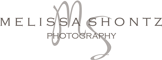 Photography (960x268), Png Download