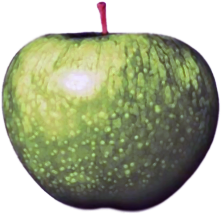 Beatles-apple Logo - Apple Beatles Steve Jobs (909x938), Png Download