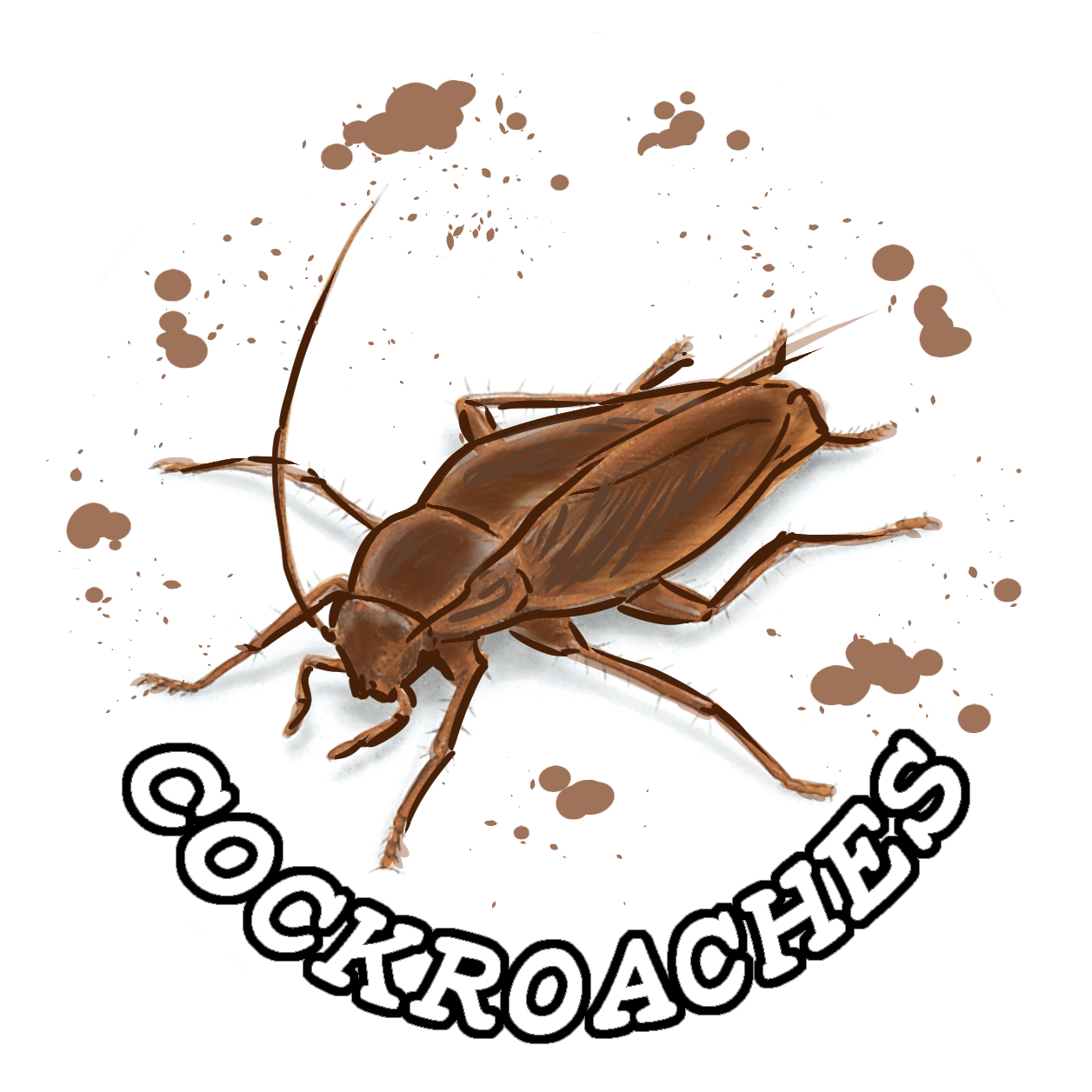 Cockroaches Named Variant - Weevil (1500x1500), Png Download