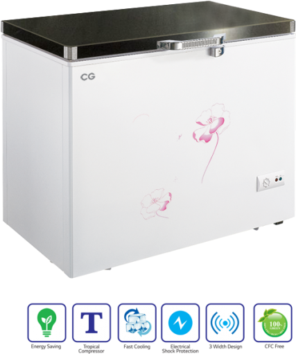 Cg Refrigerator Hard Top Butterfly Door 225 Lt Cg-df2251hb - Refrigerator (500x510), Png Download