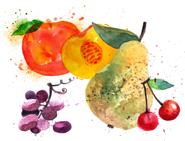 It Is Stored In A Cool & Shady Part Of The Refrigerator - Art Print: Anna42f's Fruit Watercolor Peach, Raspberry, (599x457), Png Download