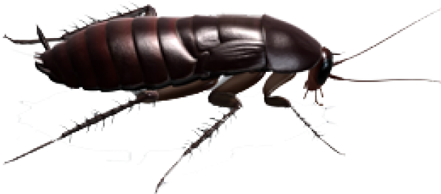 Download (640x480), Png Download