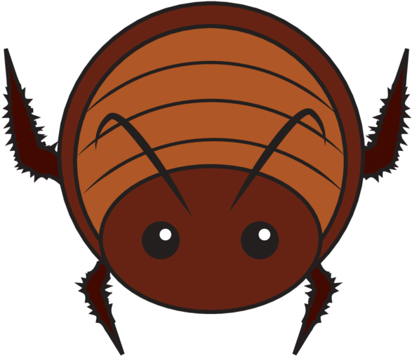 Animaru Cockroach - Portable Network Graphics (800x800), Png Download