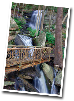 Photos Fall Creek Falls - Fall Creek Falls State Park (350x443), Png Download