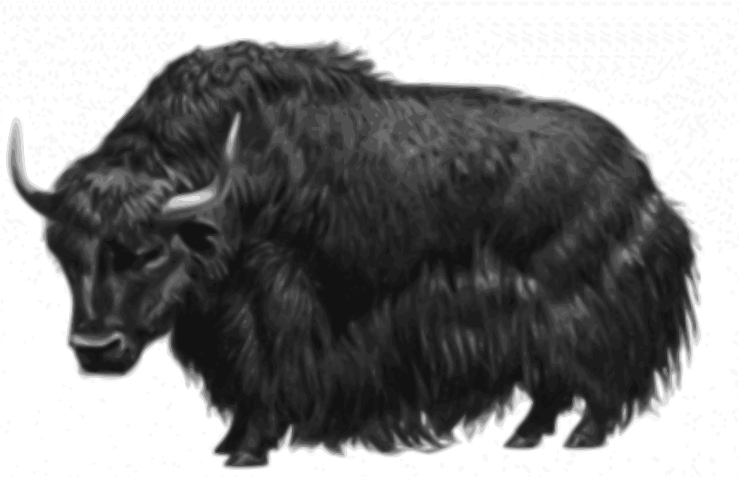 Yak - Yellow Yak (2400x1550), Png Download