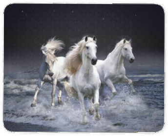 Three White Horses - Manipulation Backgrounds Full Hd (400x400), Png Download
