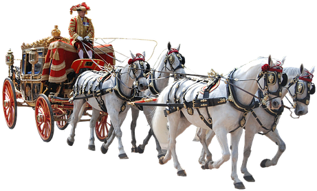 Coach, Team, Quad, Ceremony, Solemnly - Horse Drawn Carriage Png (502x340), Png Download