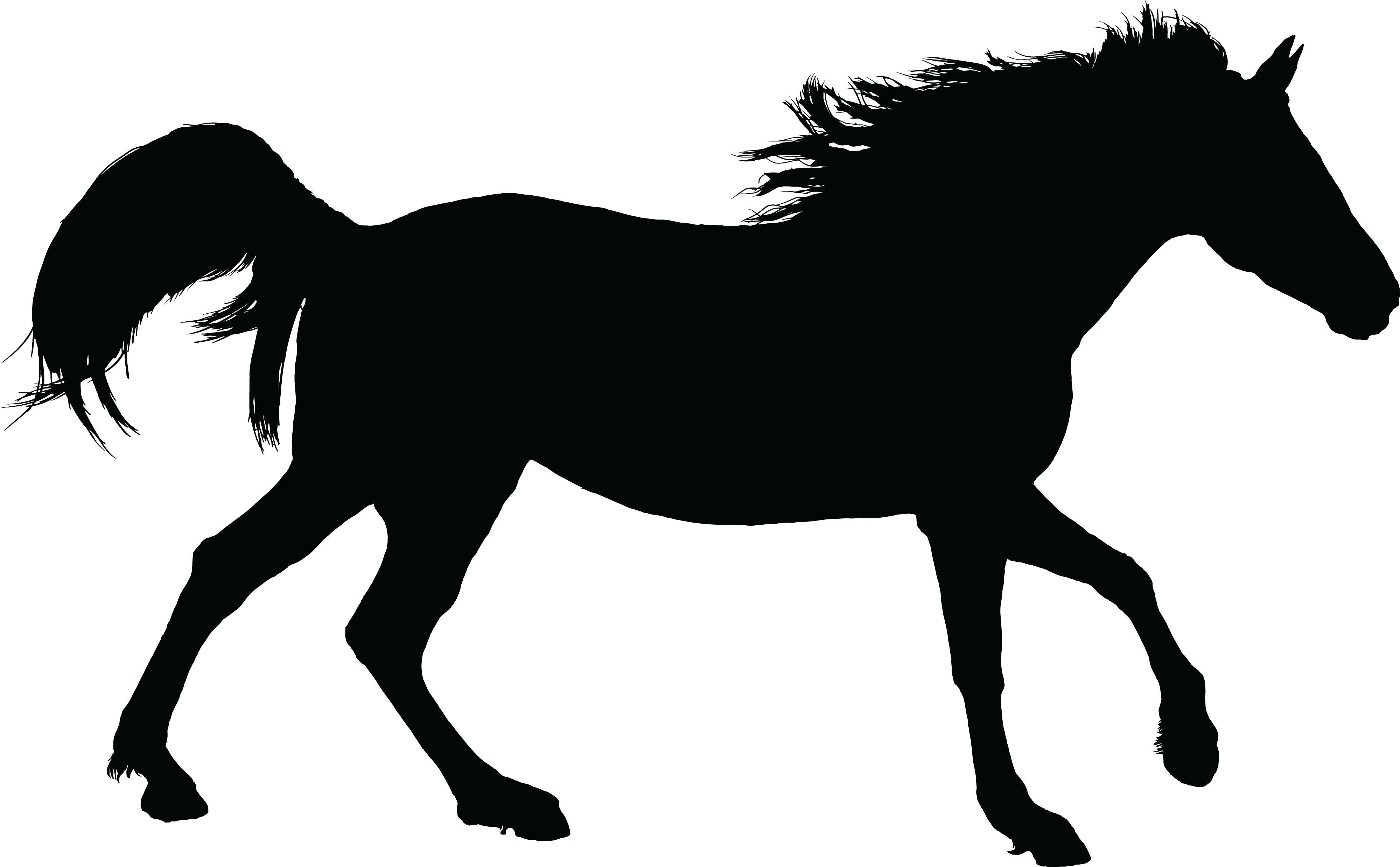 Free Clipart Of A Black Silhouette Of A Horse - Horse Silhouette Free Png (4000x2477), Png Download