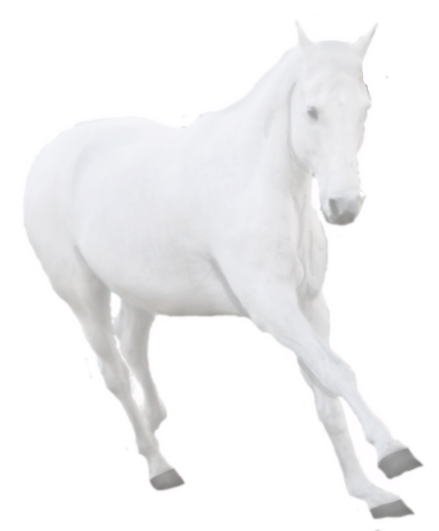 Ghost Horse Pre Cut By Sydsanchorlessstudio On Deviantart - Ghost Horse Png (470x531), Png Download