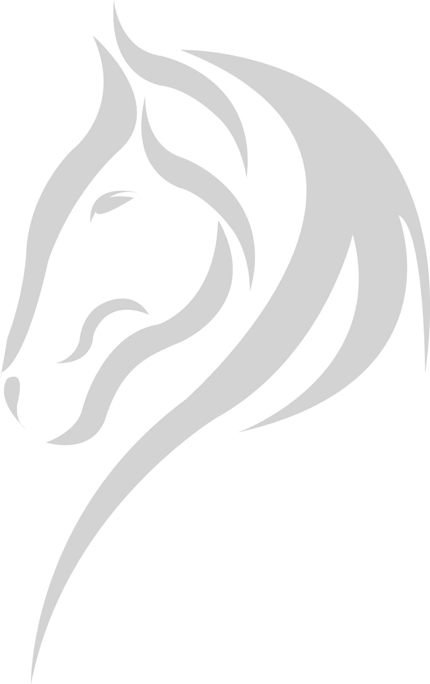Large Background Horse - Horse (1632x2501), Png Download