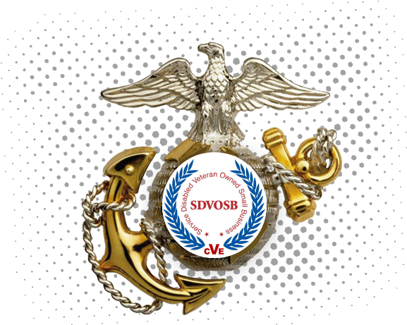 Marine Corps Logo - Eagle Globe And Anchor Png (400x350), Png Download