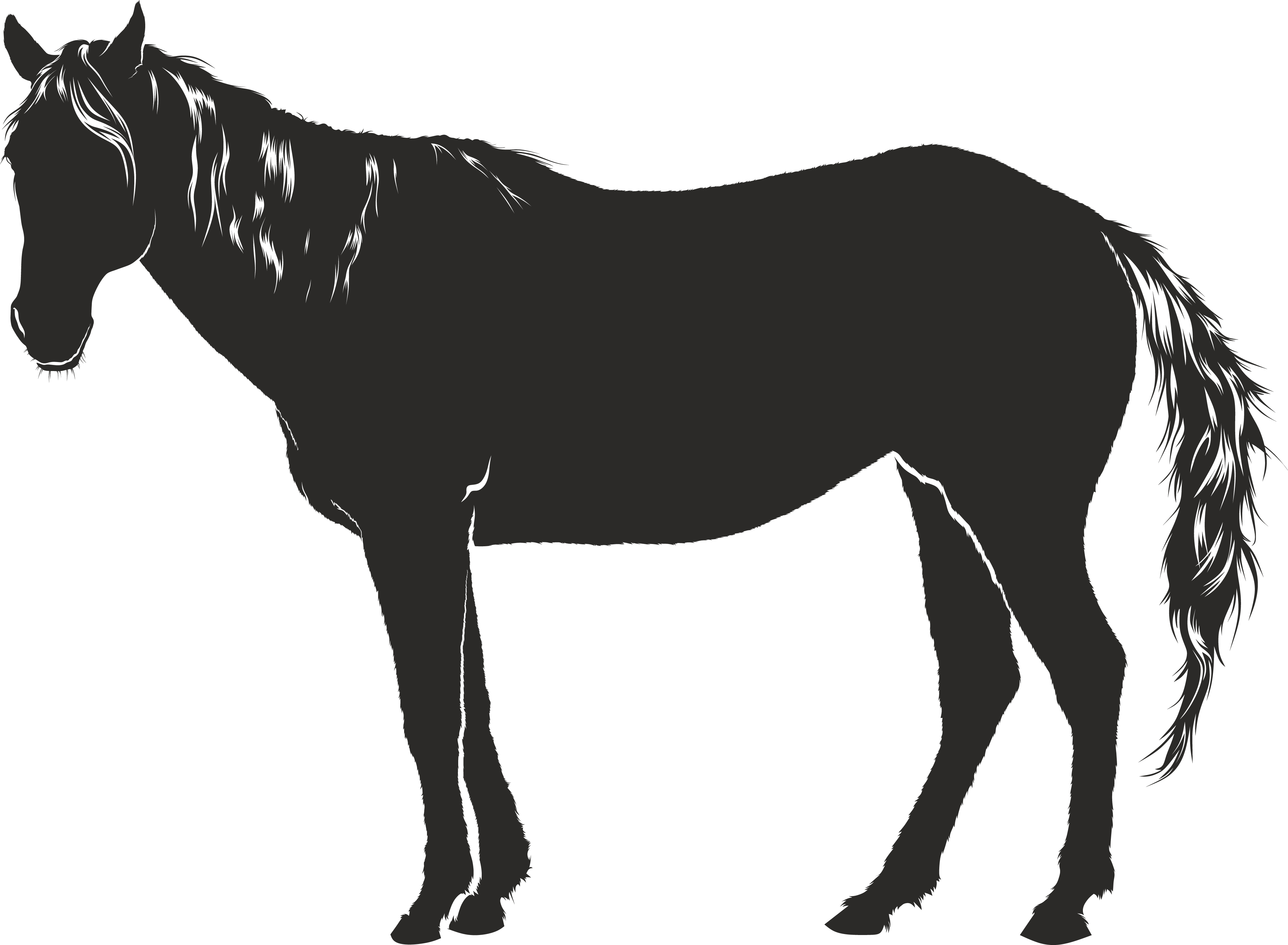 Free Clipart Of A Horse - Shadow Of Horse Drawings (4000x2934), Png Download