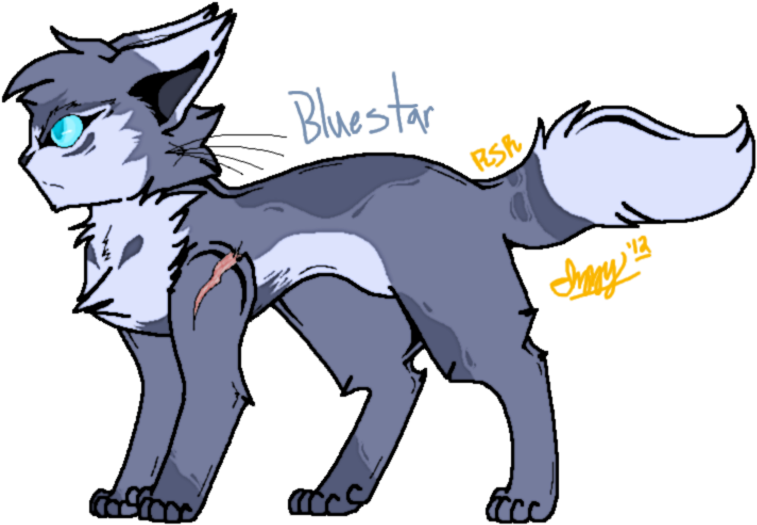 Warrior Cats - Bluestar - - - Warrior Cats Bluestar (772x533), Png Download