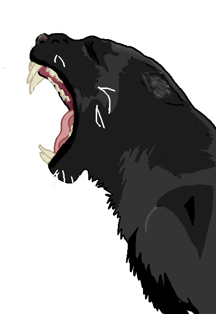 Panther Drawing Png Image Black And White Download - Panther Drawing Png (489x700), Png Download