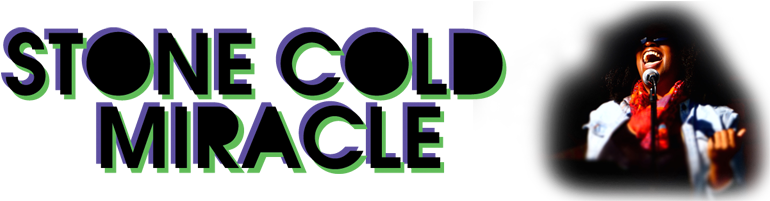 "stone Cold Miracle Is Heavy - New York (780x200), Png Download