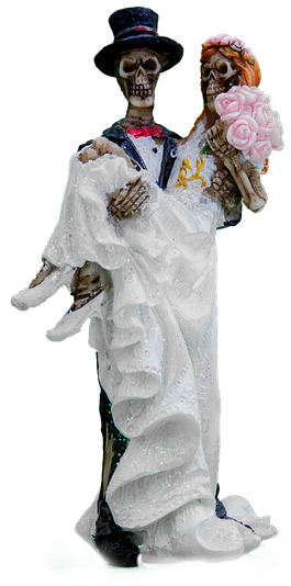 Bride And Groom, Skeleton, Gothic, Isolated, Png, White - Gotische Skeleton Braut Und Bräutigam Karte (960x640), Png Download