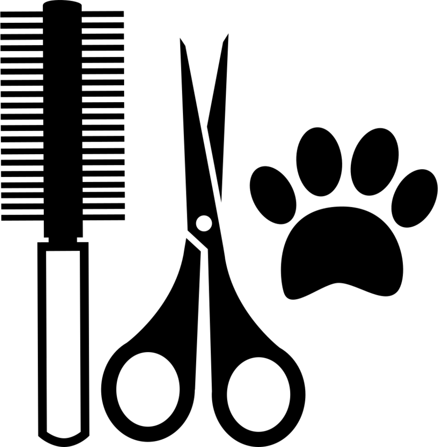 Download Salon Tools Clipart Comb Hairdresser Beauty - Herramientas De Un Veterinario Para Colorear (900x919), Png Download