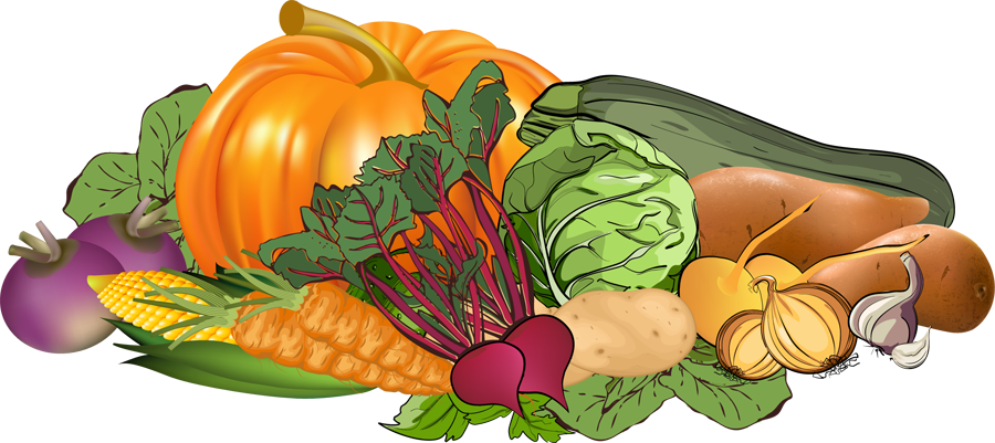 Banner Collection Of Fruits And High Quality - Fruit And Vegetables Clipart Png (900x401), Png Download