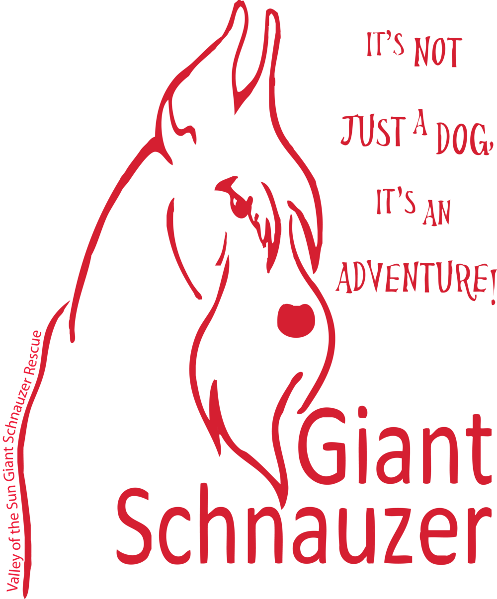 Lg Deluxe Cotton Tote 19"x15"x6"<br> Valley Of The (1000x1206), Png Download