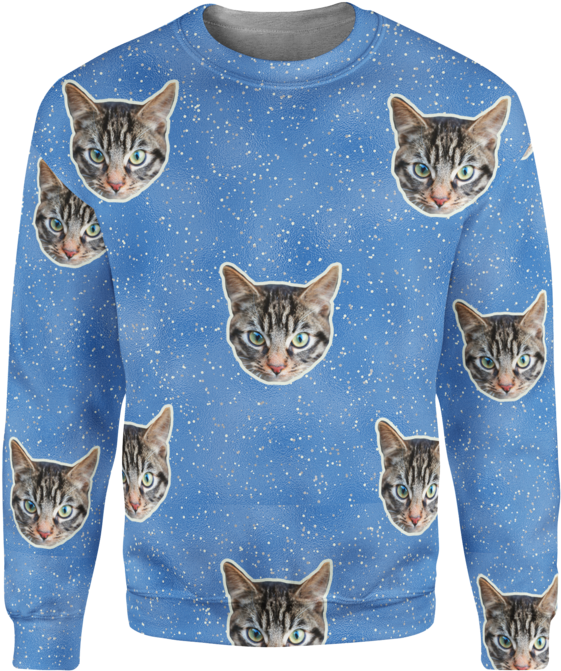 Domestic Short-haired Cat (591x700), Png Download