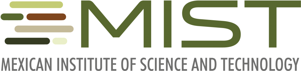 We Promote Innovation Through The Mexican Institute - Graphic Design (1000x316), Png Download