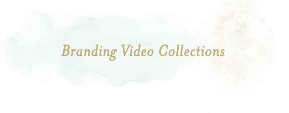 Brandingvideocollections Maryngraves - Miami Jacobs Career College (1000x421), Png Download