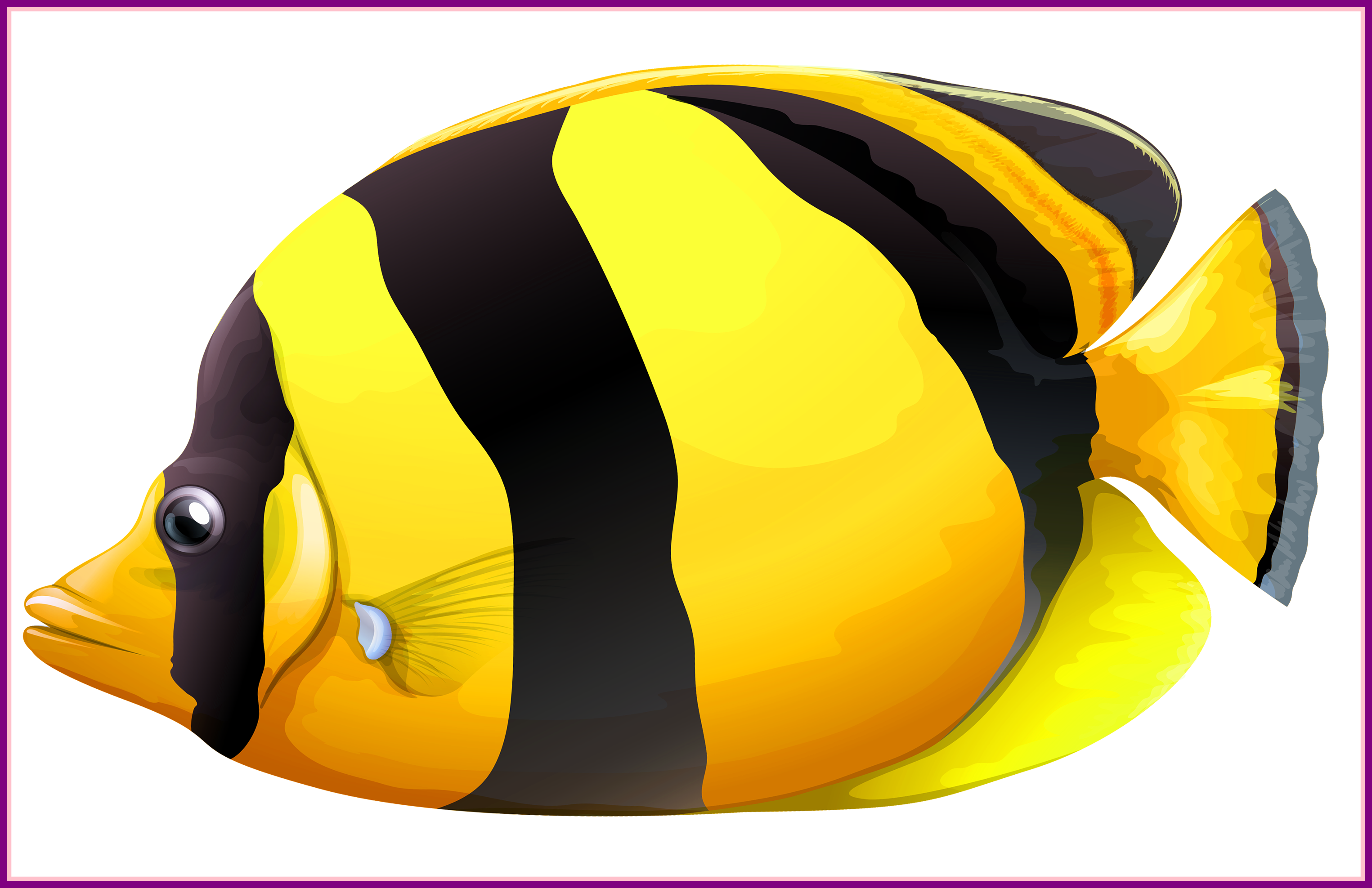 20 Ideas Of Fish Bowl Clipart - Butterfly Fish Transparent (3050x1975), Png Download