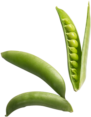 Peas - Illustration (866x650), Png Download