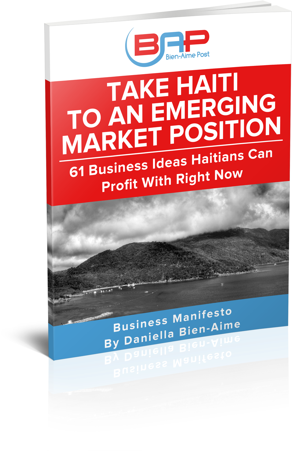 Take Haiti To An Emerging Market Position - Eastern Market Washington Dc (1200x1580), Png Download