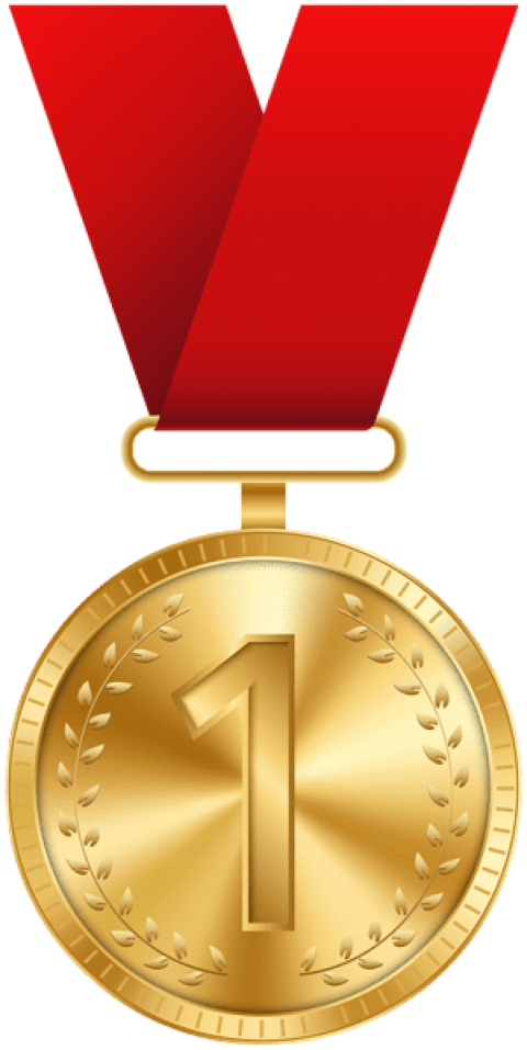 Free Png Download Gold Medal Clipart Png Photo Png - Bronze Medal Clip Art (480x957), Png Download