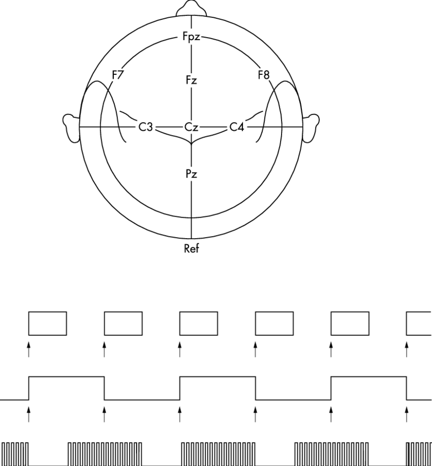 Frequency Spectrum Of Clarinet Tone, Fundamental Frequency - Spectral Clarinet (850x916), Png Download