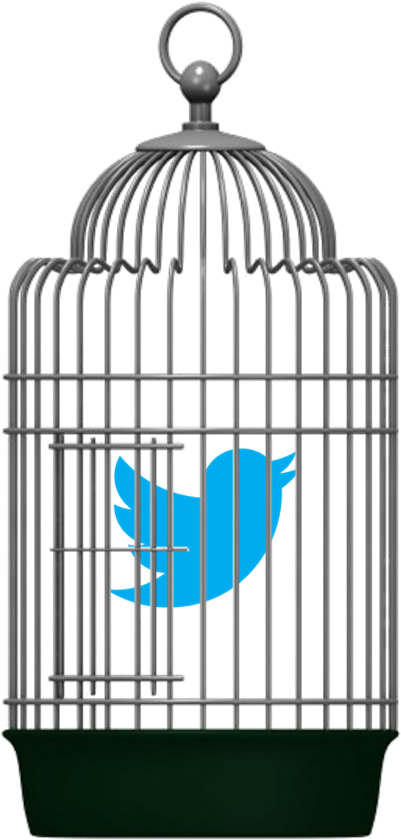 Twitter Bird In A Bird Cage - Budgies Think (939x939), Png Download