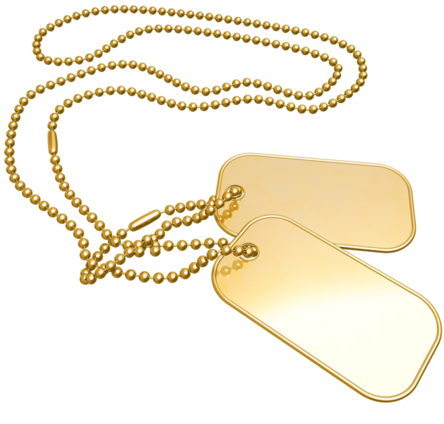 Gold Dog Tags - My Name Pix Friends (643x600), Png Download