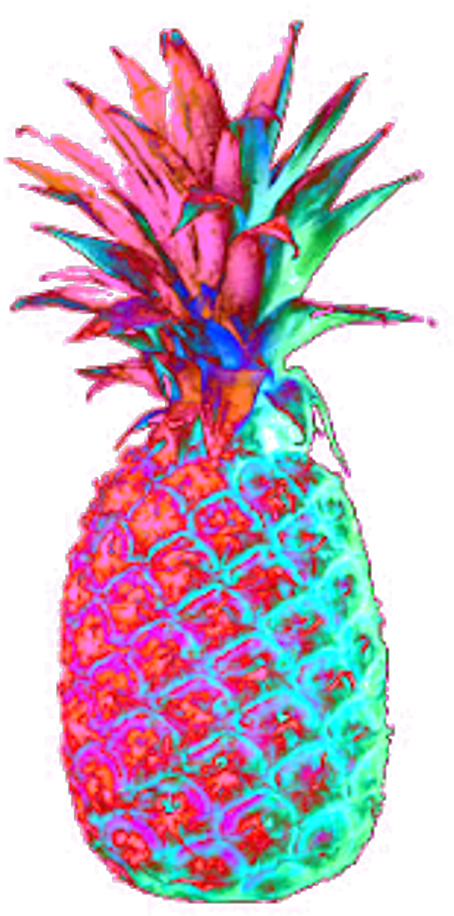 Abacaxi Sticker - Colourful Pineapple (1024x1235), Png Download