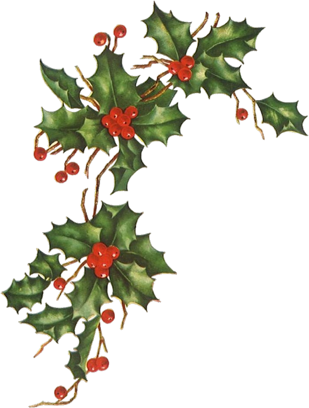 Report Abuse - Vintage Christmas Flowers (1024x1336), Png Download