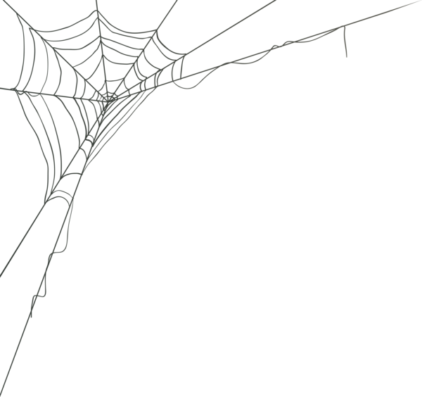 0, - Cartoon Spider Web Png (600x564), Png Download