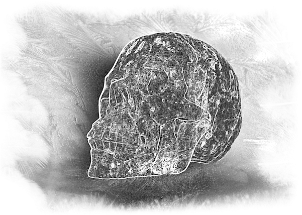 Bleed Area May Not Be Visible - Skull (600x600), Png Download