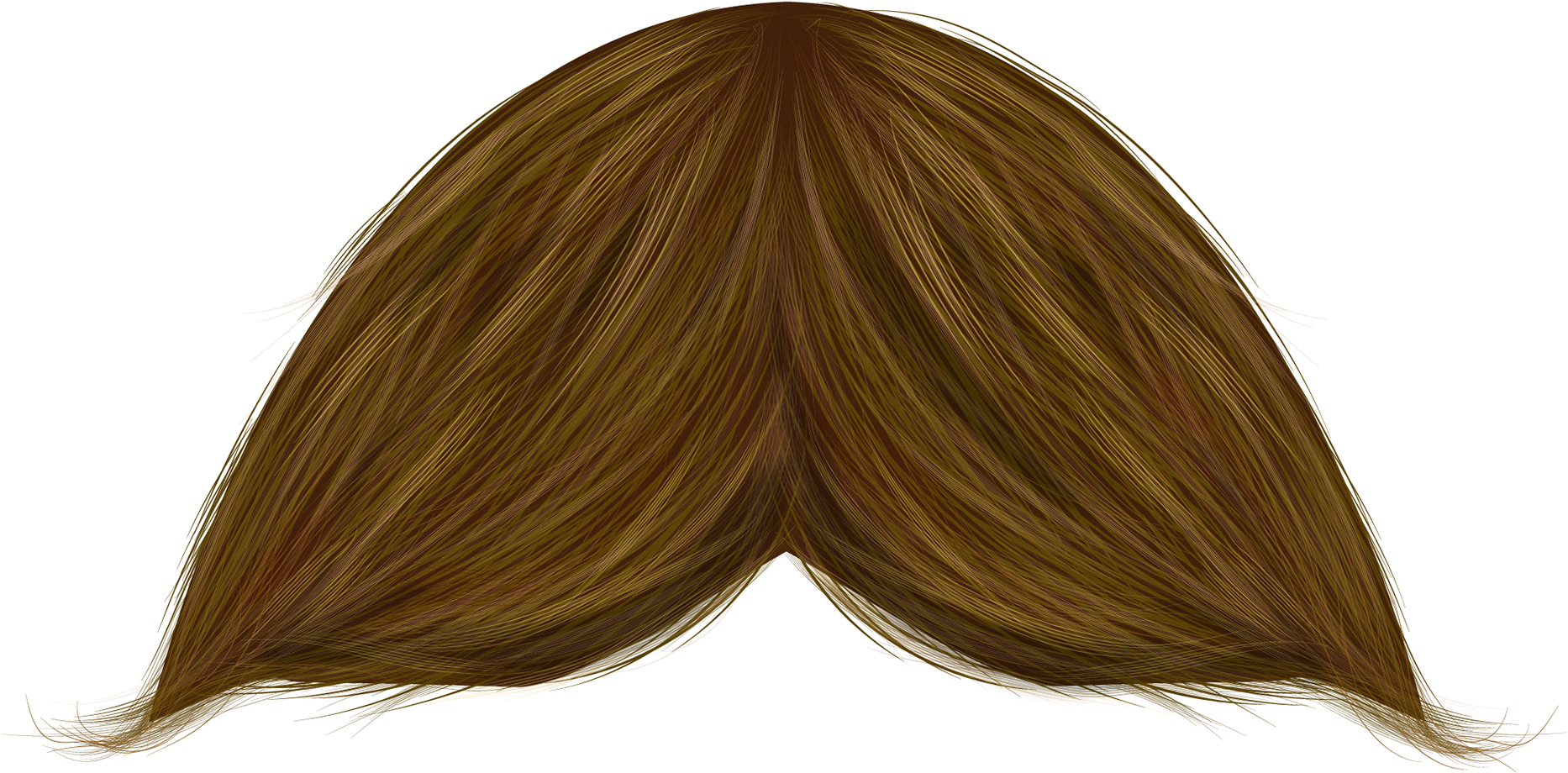 Lace Wig (1920x1920), Png Download